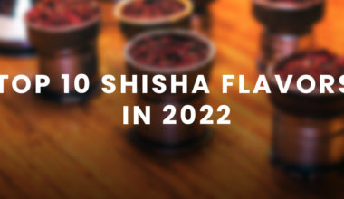 Top 10 Shisha Flavors in 2022 3 Top 10 Shisha Flavors in 2022