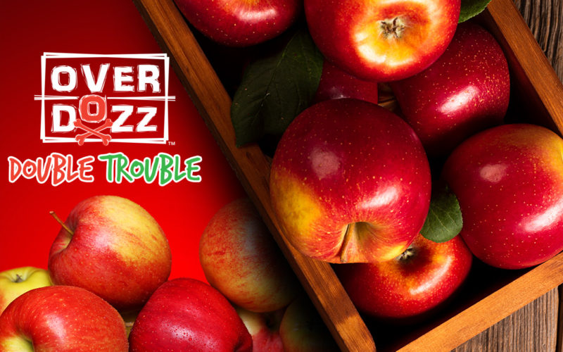 Overdozz Company Review 8 Overdozz Review