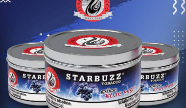 Top 10 Shisha Flavors in August 2022